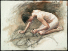 Narcisse III <span>🔴</span>